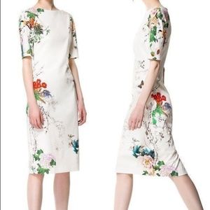 Zara Floral Dress body con boatneck shift NWT